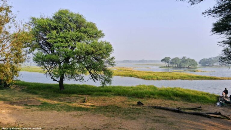 Agra 2026 Travel: Best Things to See and Do Beyond the Taj Mahal